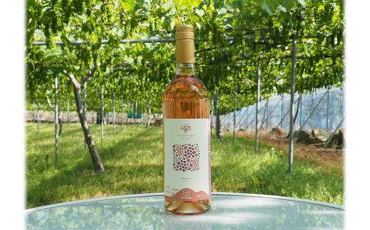 【令和8年産先行予約】 デラウェア 1箱 (5房前後入り) ＋ 漆