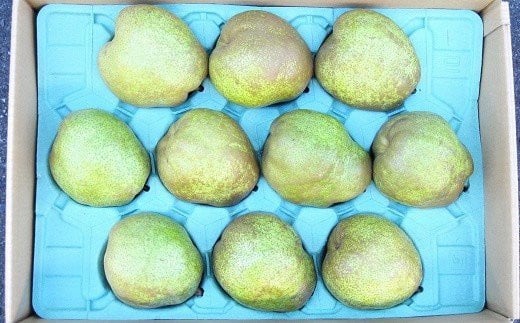 【令和8年産先行予約】 JA 大玉 ラ・フランス 約5kg ( 8～12玉 