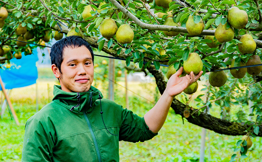 【令和7年産先行予約】 〈訳あり品 家庭用〉 ちょっと訳あ
