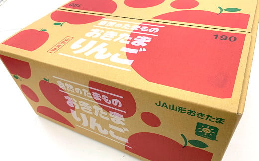 【令和8年産先行予約】 JA りんご 「サンふじ」 約2kg (5～8玉