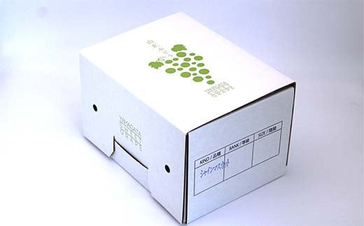 【令和8年産先行予約】 シャインマスカット 600g以上 (1房 秀