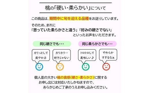 【令和8年産先行予約】 硬めの白桃 約5kg (8～22玉 秀) 《令和