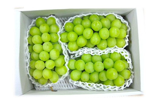 【令和7年産先行予約】 《定期便5回》 JA 夏秋冬美味フルー