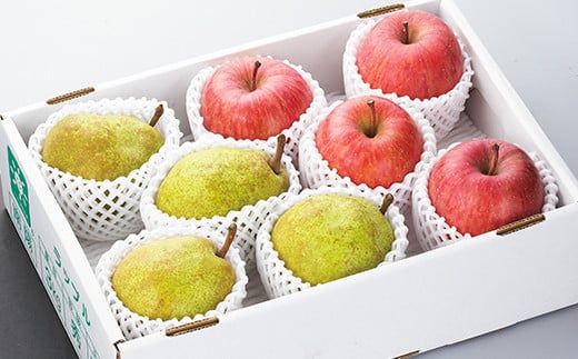 【令和7年産先行予約】 《定期便3回》 JA 秋冬フルーツ定期