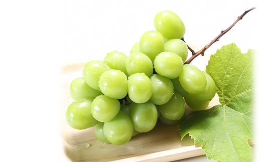 【令和7年産先行予約】 《定期便3回》 秋冬フルーツ定期便 