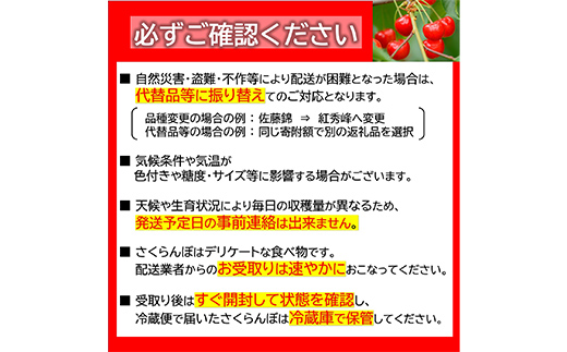 【令和8年産先行予約】 さくらんぼ 「佐藤錦」 540g (180g×3パ