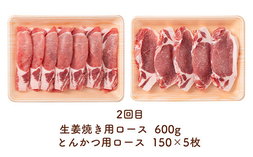 《定期便2回》 山形豚お楽しみ定期便 計2.55kg (しゃぶしゃぶ