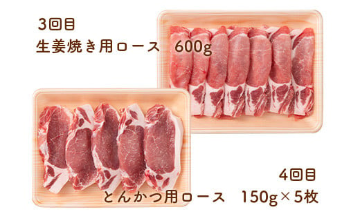 《定期便4回》 山形豚満喫定期便 計2.55kg (しゃぶしゃぶ・生