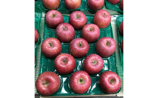 【令和7年産先行予約】 〈家庭用〉 りんご 「サンふじ」 約