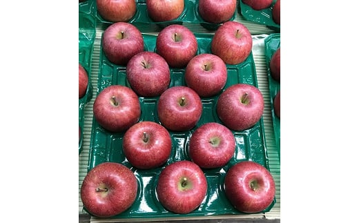 【令和7年産先行予約】 〈家庭用〉 りんご 「サンふじ」 約