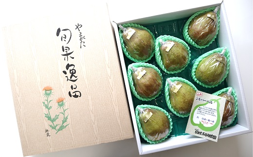 【令和7年産先行予約】 大玉 シルバーベル 約5kg (8～10玉 特