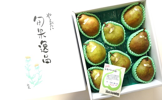 【令和7年産先行予約】 大玉 シルバーベル 約5kg (8～10玉 秀)