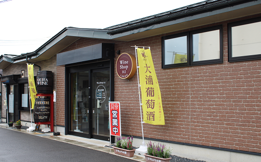 大浦葡萄酒 人気葡萄酒 750ml×2本セット 『(有)大浦葡萄酒』 