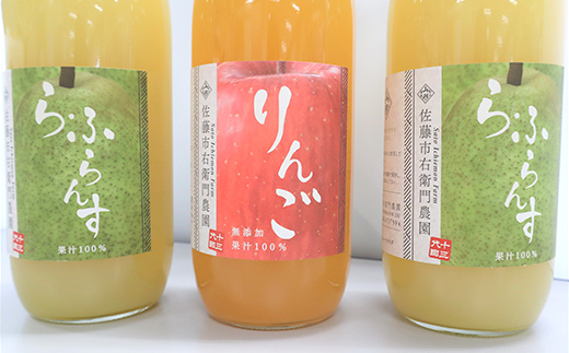 完熟りんご ＆ ラ・フランスジュース セット [100%果汁] 1000ml