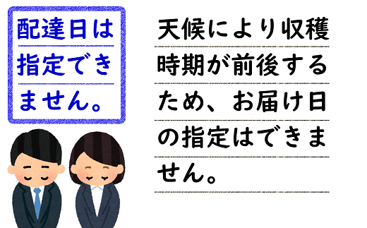 【令和7年産先行予約】 さくらんぼ 「紅秀峰」 約1kg (約500g