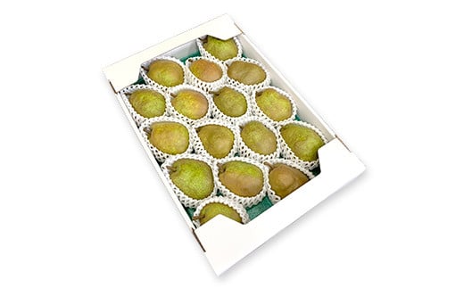 【令和7年産先行予約】 山形県産 ラ・フランス 約5kg詰め (12