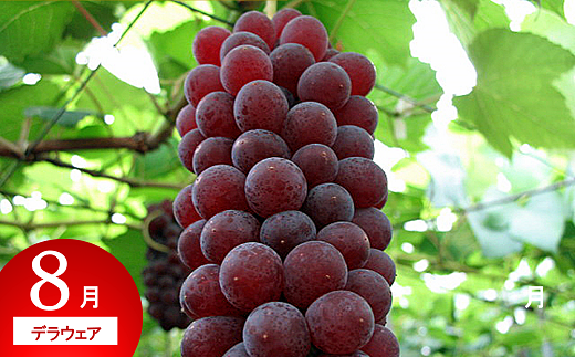 《定期便5回》 南陽市商工会女性部プロデュース 【なんよ