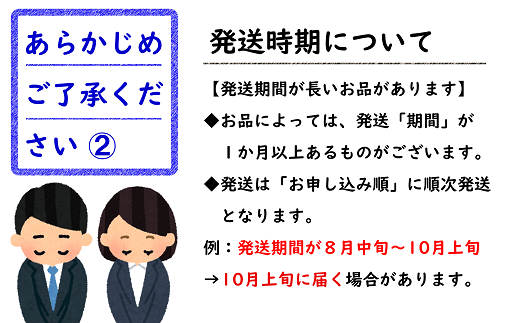 【令和7年産先行予約】 《定期便3回》 山形フルーツ贅沢宝