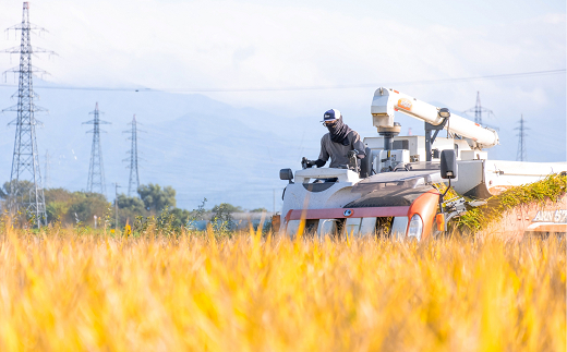 【冬眠米(賞味期限一年)】 令和7年産 特別栽培米 つや姫 (玄