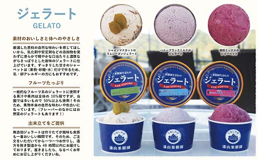 《定期便3回》 南陽市商工会女性部プロデュース 〈ワンち