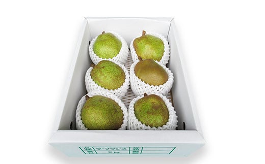 【令和7年産先行予約】 ラ・フランス 約2kg (5～6玉 秀 3L以上