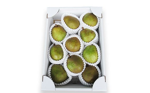 【令和7年産先行予約】 ラ・フランス 約3kg (10～11玉 秀 3L以