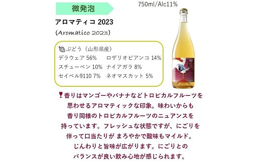 NEW NANYO弾ける泡セット 750ml × 2本 『(株)グレープリパブリッ