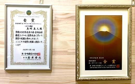 【令和7年産 新米 先行予約】 【米食味コンクール金賞受賞