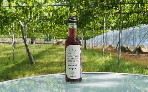 漆山果樹園ミニドリンクセット 「漆山ワイン ＆ 果汁100%ジ