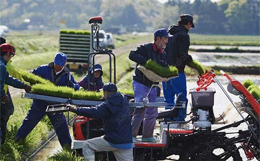 【令和7年産 新米 先行予約】 【金賞受賞農家】 《定期便12