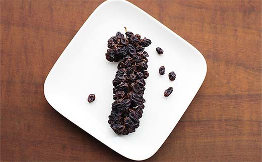 果樹園生まれの ドライフルーツ 「陽果ドライ」 10個詰合せ