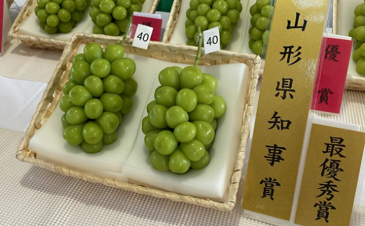 【令和8年産先行予約】 【山形県ぶどう品評会 最優秀賞受