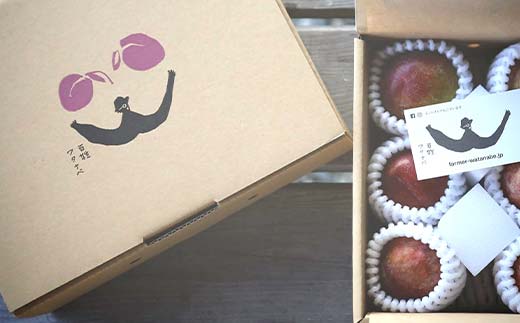 【令和8年産先行予約】 高級プラム 「秋姫」 約1.2～1.3kg (8