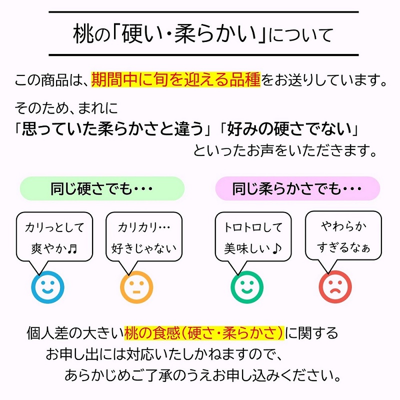 【令和8年産先行予約】 《定期便3回》 人気フルーツ定期便 