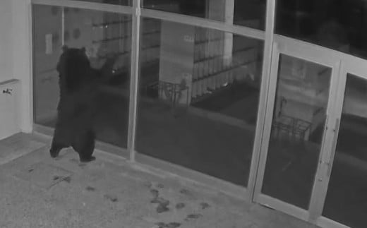 【返礼品なし】 熊被害対策支援 (山形県南陽市) [2614]