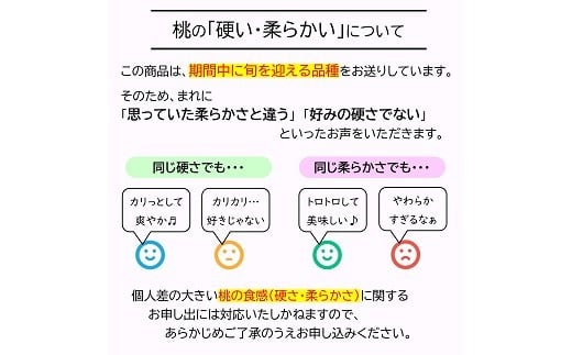 【令和8年産先行予約】 《定期便5回》 フルーツ王国の人気