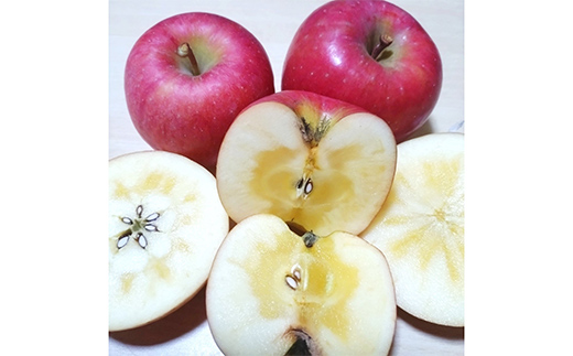 【令和8年産先行予約】 完熟みつ入り こうとく(高徳) 約1.5