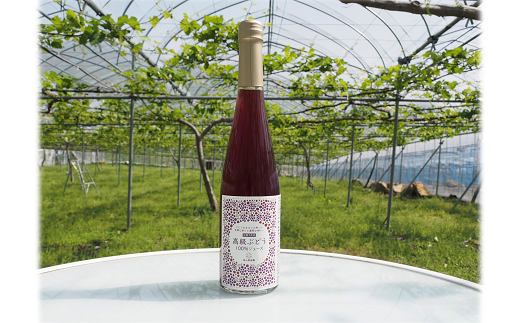 【令和8年産先行予約】 デラウェア 1箱 (5房前後入り) ＋ 漆