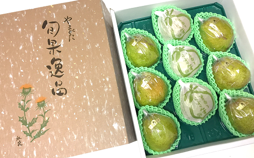 【令和7年産先行予約】 【市農業祭最優秀賞受賞者】 ラ・