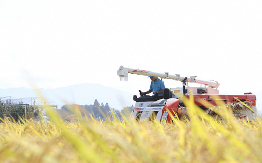 金賞受賞米農家の「切り餅」12袋（1袋 約500g）あおきライス