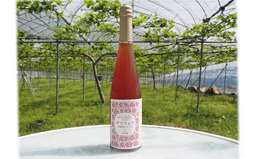 果樹園生まれの 果汁100%ぶどうジュース 「高級ぶどう ＋ デ