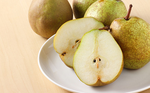 【令和7年産先行予約】 《定期便5回》 JA 夏秋冬美味フルー