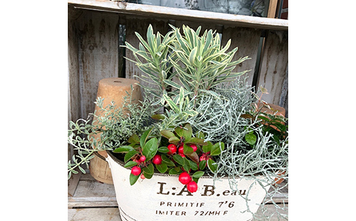  《定期便3回》 南陽市商工会女性部プロデュース 【癒しの