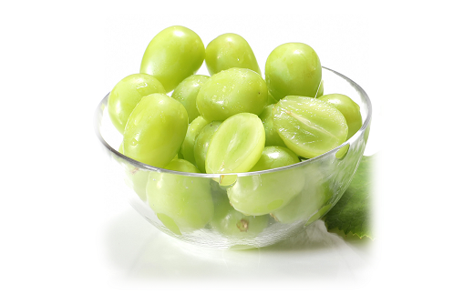 【令和7年産先行予約】 《定期便3回》 秋冬フルーツ定期便 