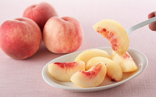 【令和7年産先行予約】 《定期便4回》 家庭で楽しむフルー