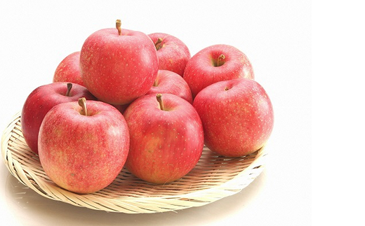 【令和7年産先行予約】 ふじりんご 約5kg (10～18玉 秀)  《令