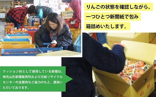 【令和7年産先行予約】 〈家庭用〉 ふじりんご 約10kg (28玉