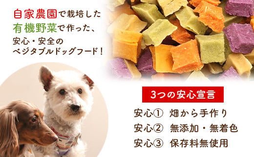 わんこのサラダ 6種セット 『Dog Garage (ドッグガレージ)』 山