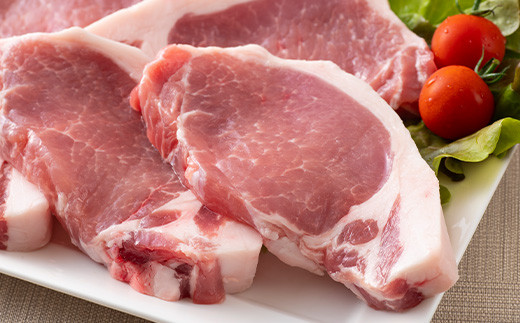 山形豚 ロース 生姜焼き用 600g & ロース とんかつ用 750g 山形