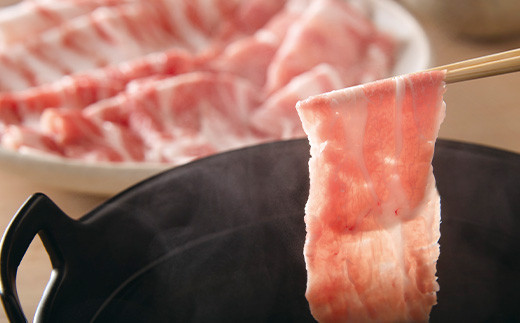 山形豚 ロース しゃぶしゃぶ用 600g & ロース 生姜焼き用 600g 